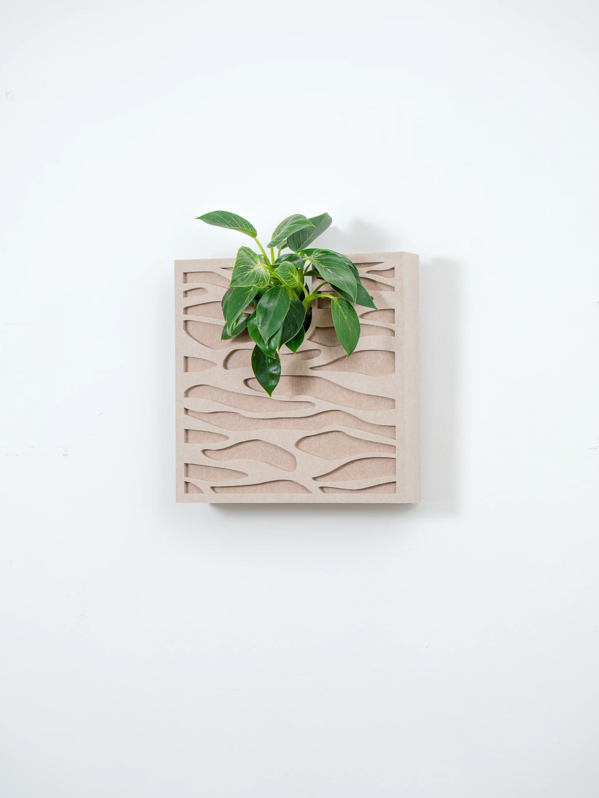 tableau vegetal acoustique sand 40-x1-3_4-11