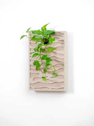 Tableau végétal acoustique Sand – teintes sablées et plantes vivantes