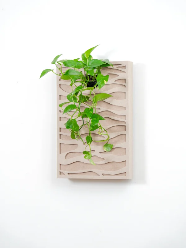 Tableau végétal acoustique Sand – teintes sablées et plantes vivantes