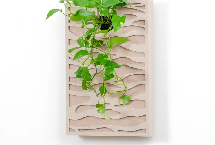 Tableau végétal acoustique Sand – teintes sablées et plantes vivantes