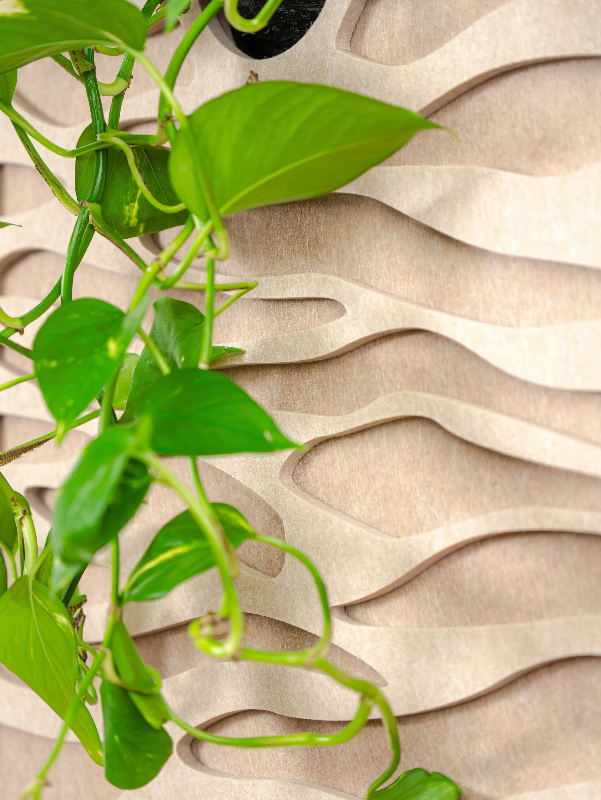 tableau vegetal acoustique sand 60-x1-Zoom-matières-3_4-03