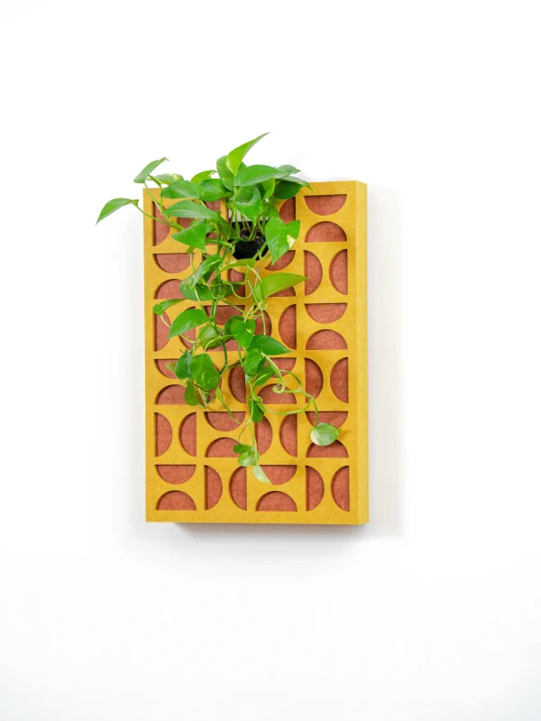 Tableau végétal acoustique Seventy's – motifs géométriques et plantes vivantes