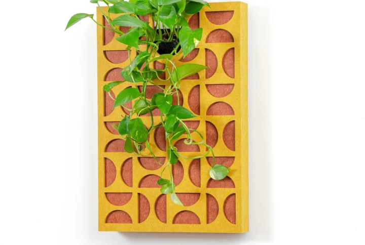 Tableau végétal acoustique Seventy's – motifs géométriques et plantes vivantes