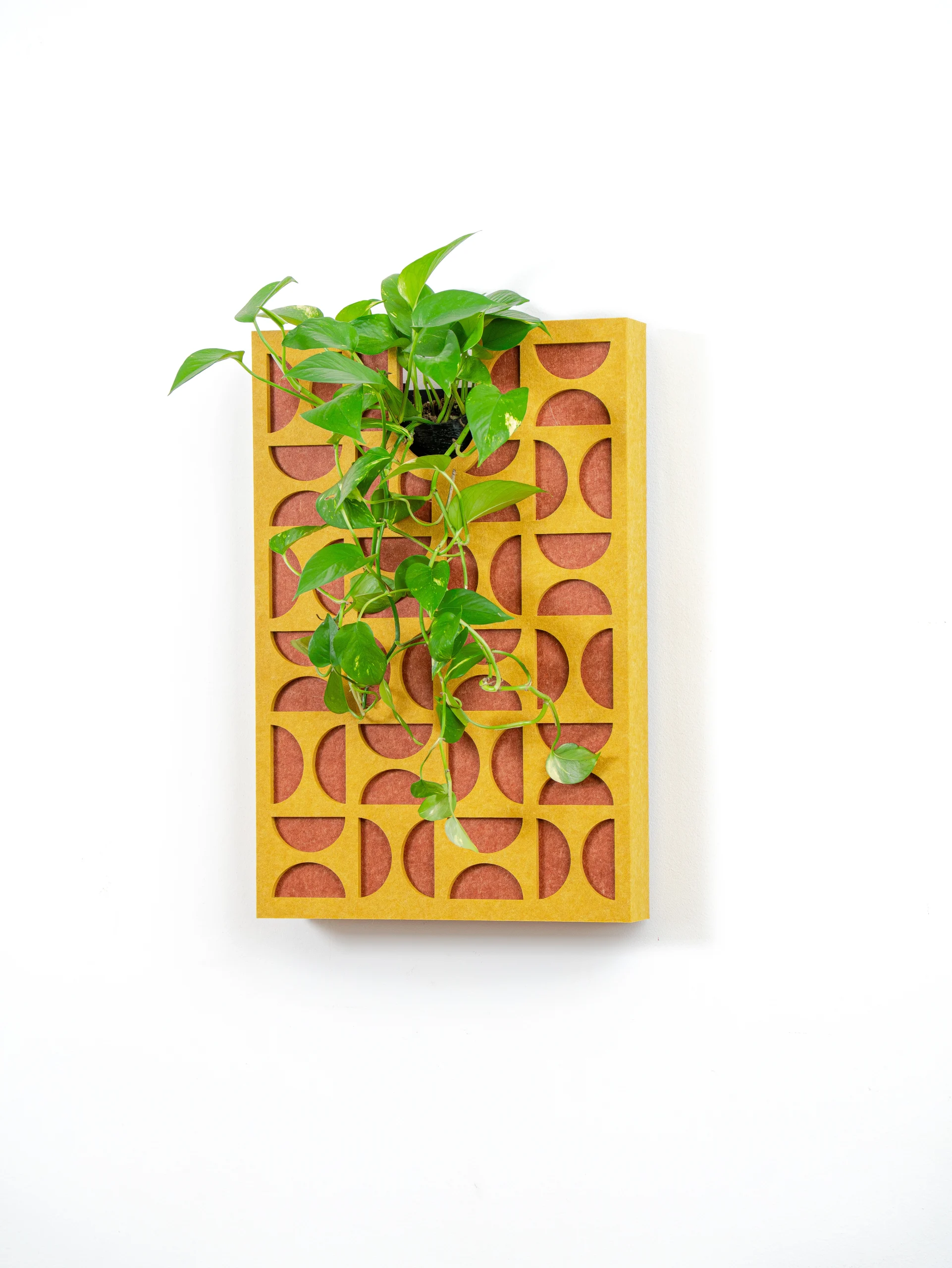 tableau vegetal acoustique seventys 60-x1-3_4-01