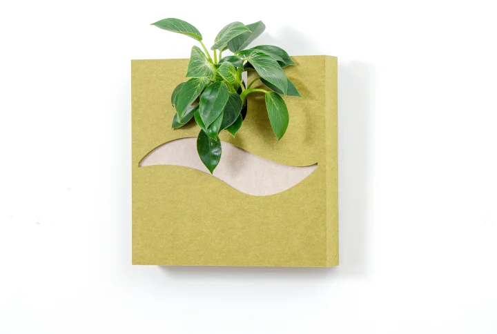 Tableau végétal acoustique Wind – feutre PET recyclé et plantes vivantes