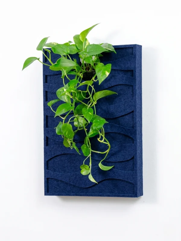 Tableau végétal acoustique Wave – design ondulant et plantes vivantes