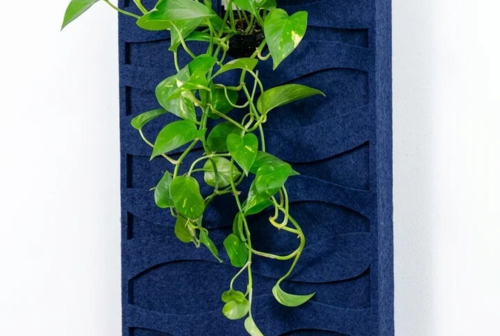 Tableau végétal acoustique Wave – design ondulant et plantes vivantes