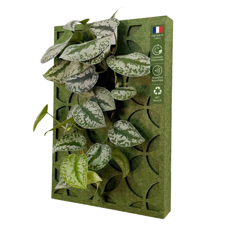 Tableau végétal vivant – Retro - Vert forêt