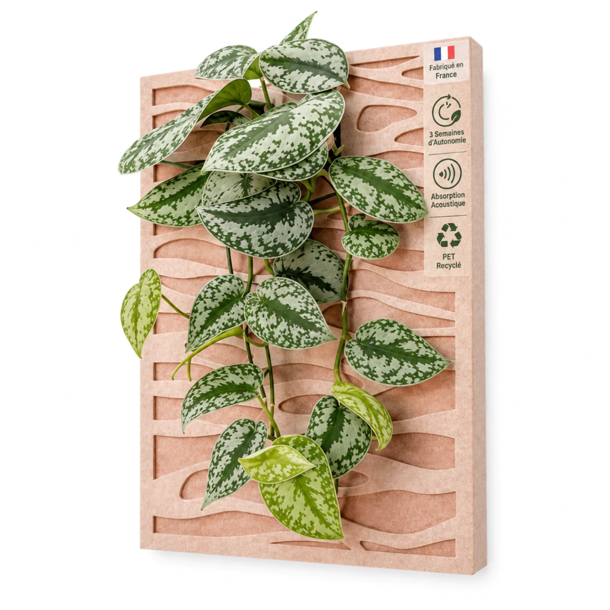 Tableau végétal vivant – Sand